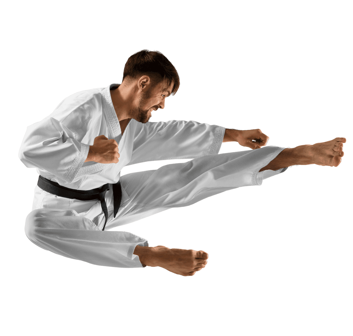 Karate Kick